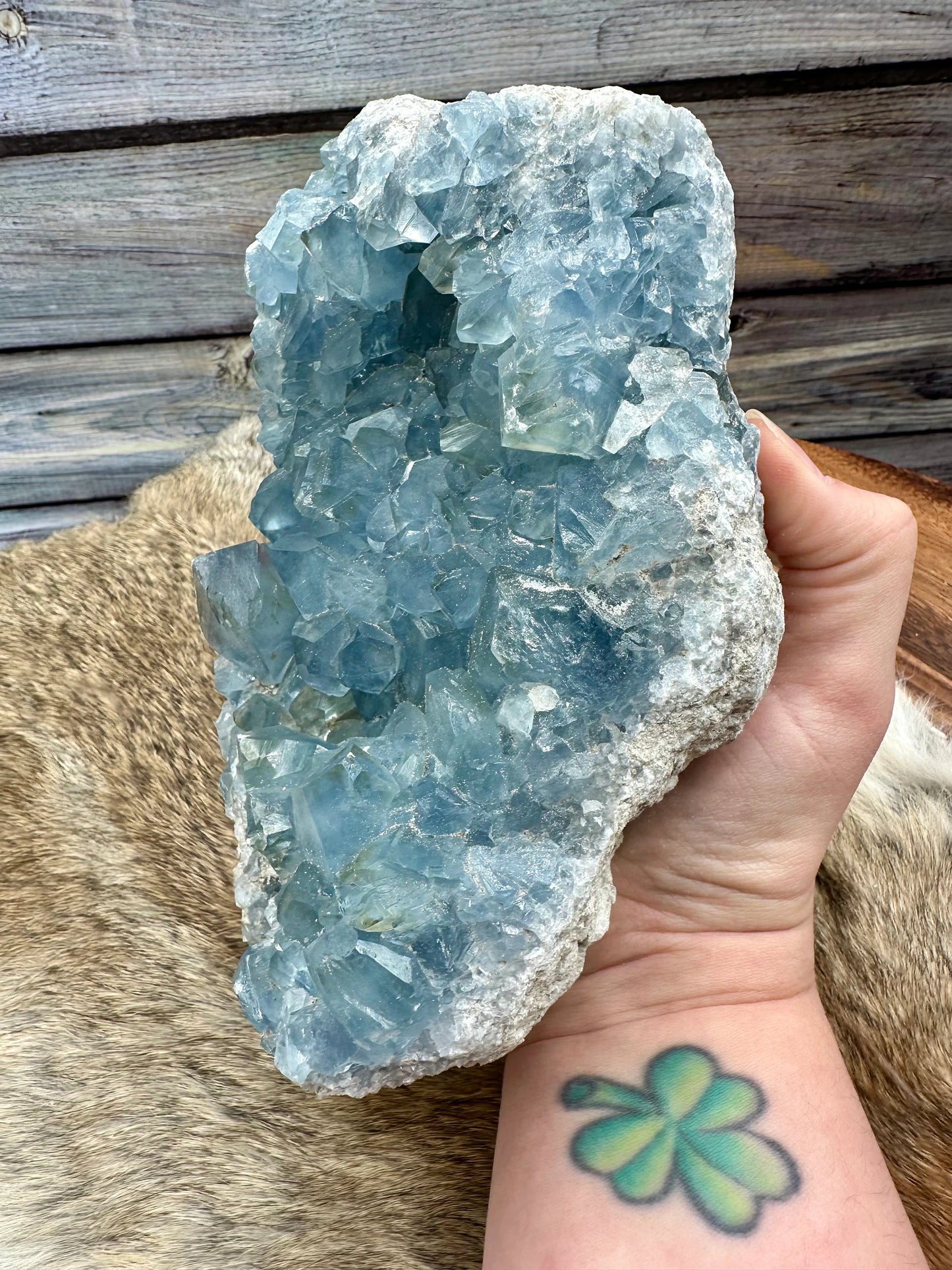 AAA Large Celestite Crystal Cluster Geode
