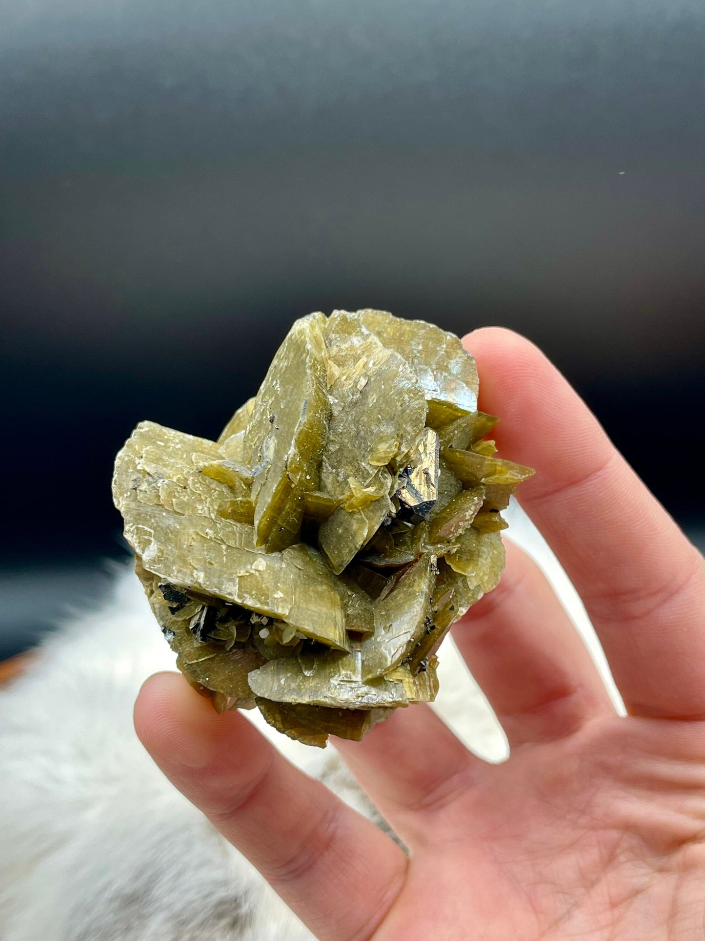 Large Siderite and Chalcopyrite Rose