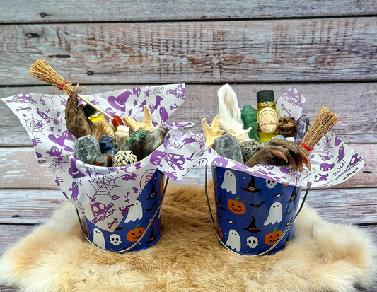 Samhain Bucket Halloween Crystal Bone Pail Taxidermy ONE