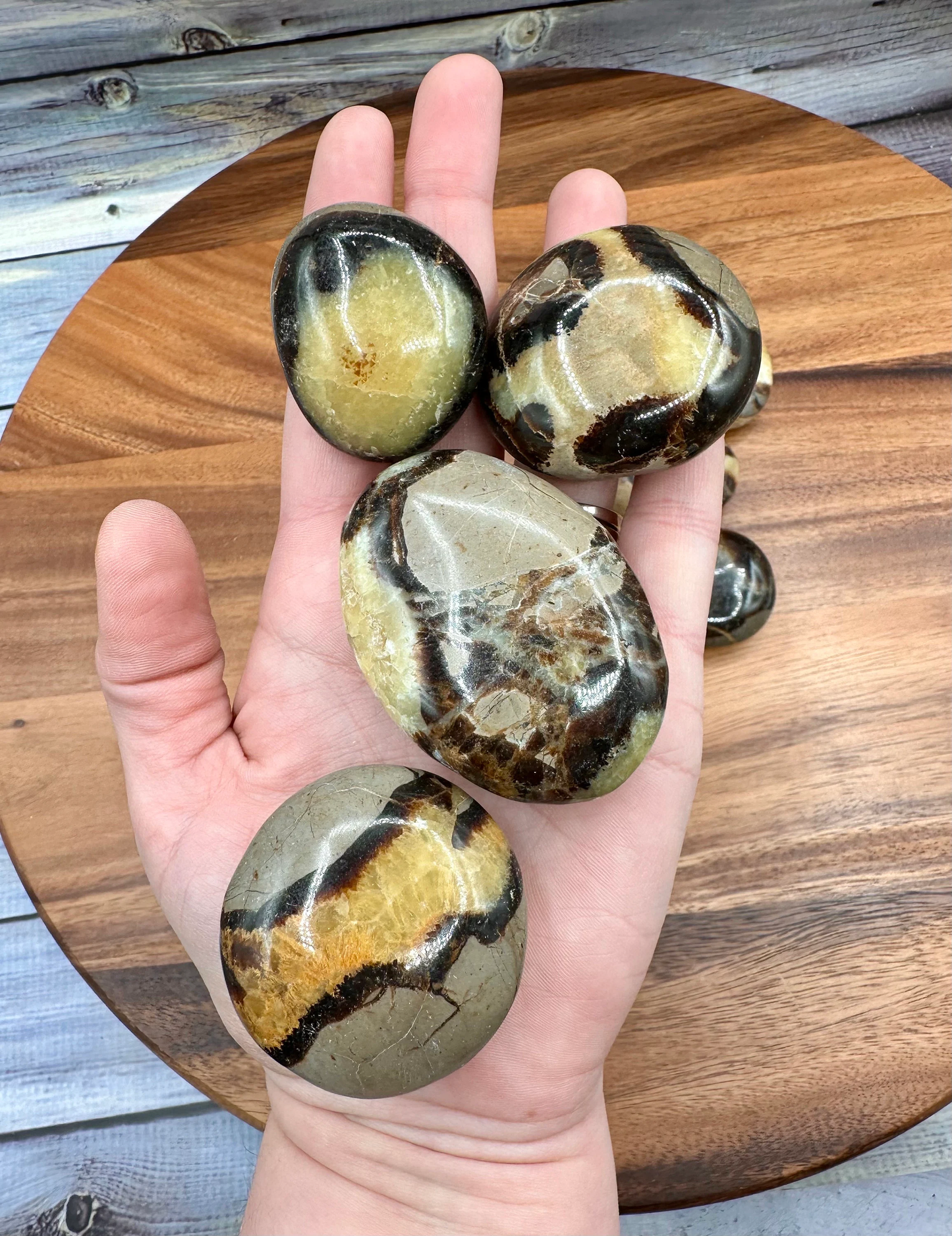 Septarian Palm Stone Gallet ~ Dragonstone