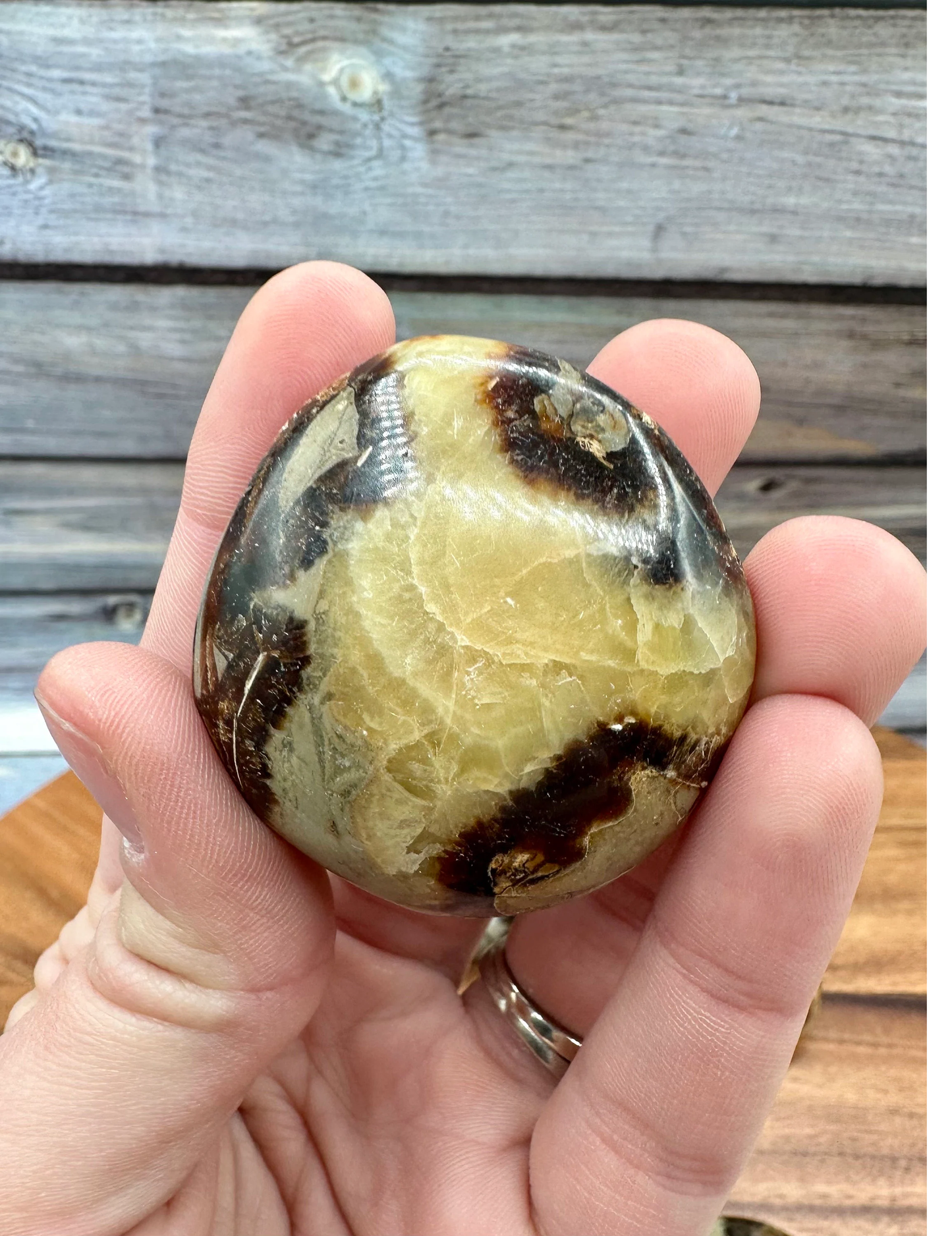 Septarian Palm Stone Gallet ~ Dragonstone