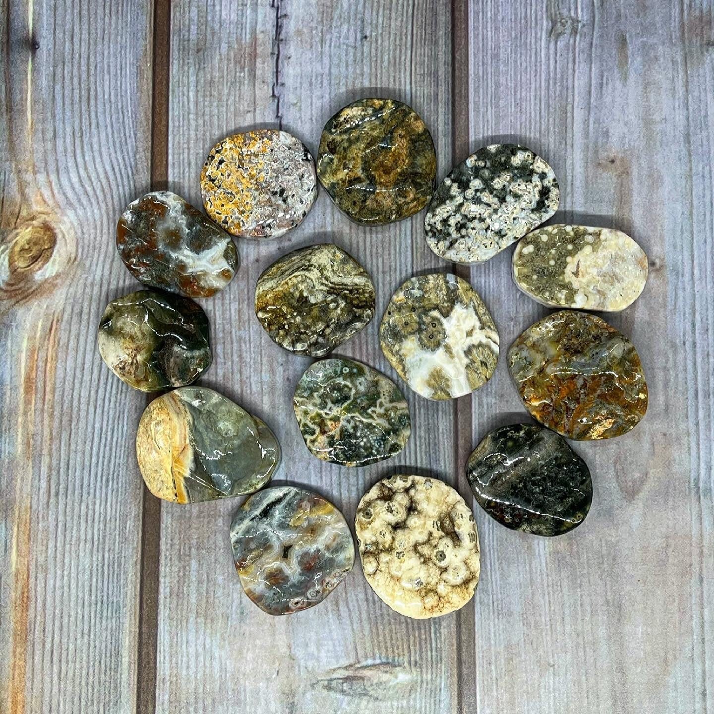 Ocean Jasper Disc’s