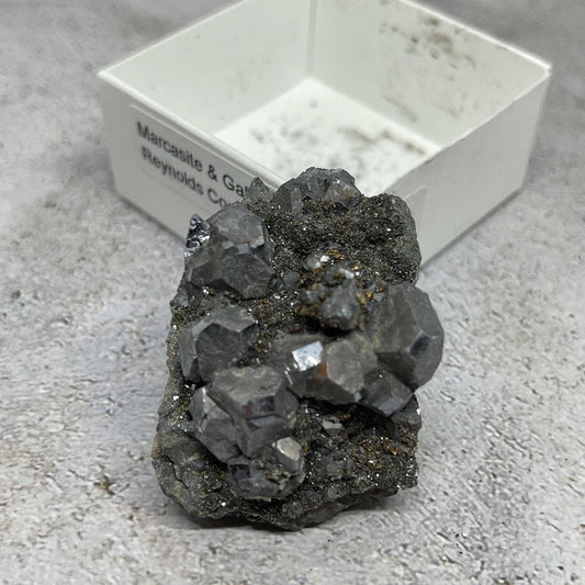 Galena and Marcasite ~ Natural Specimen