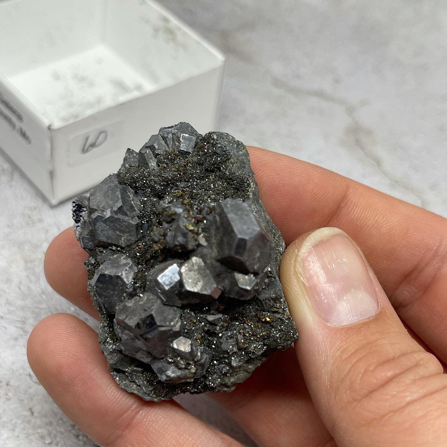 Galena and Marcasite ~ Natural Specimen