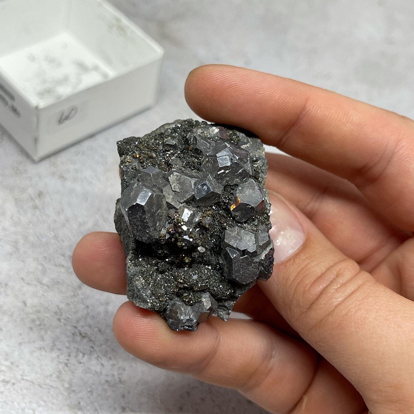 Galena and Marcasite ~ Natural Specimen