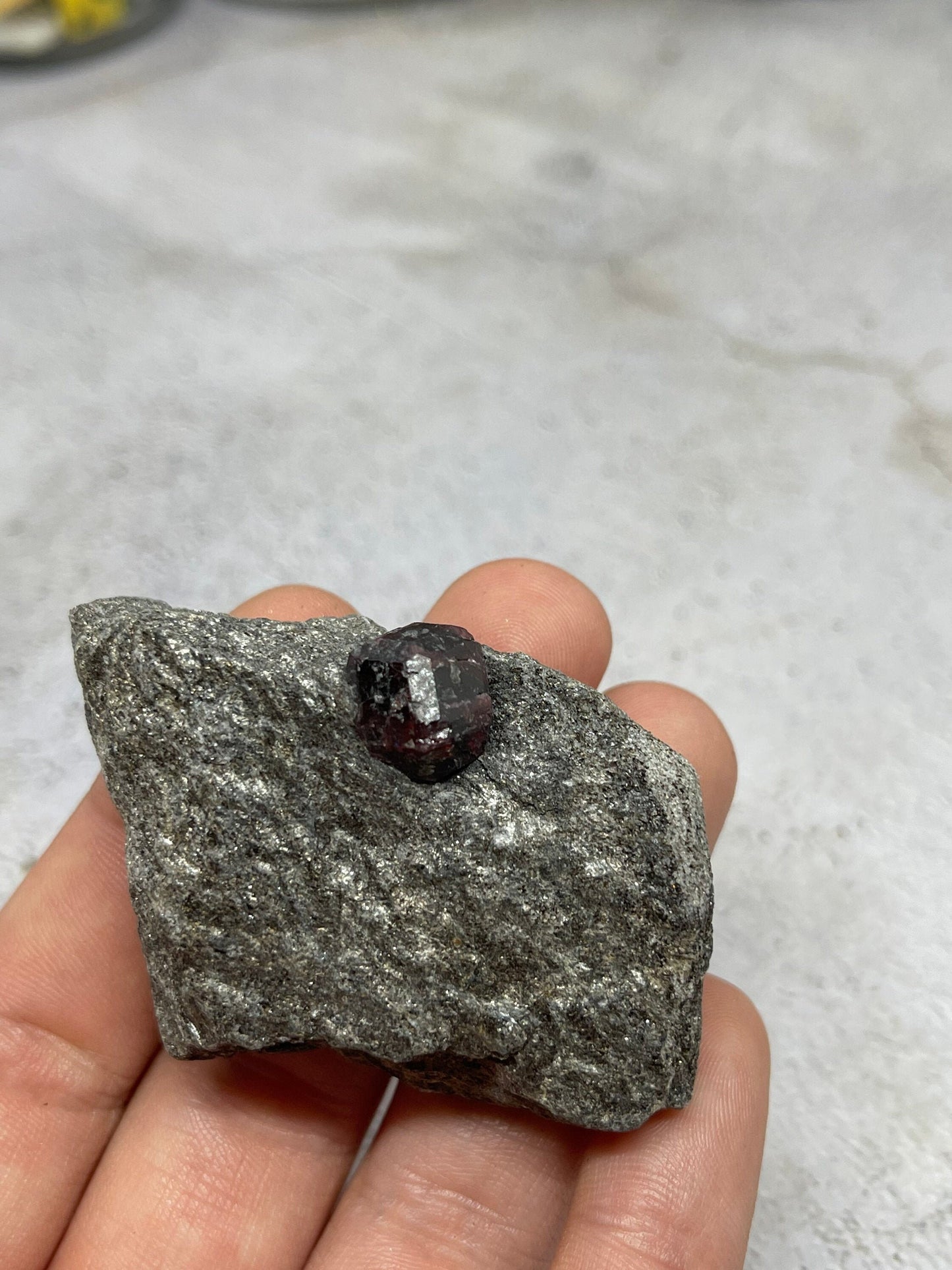 Alaskan Garnet