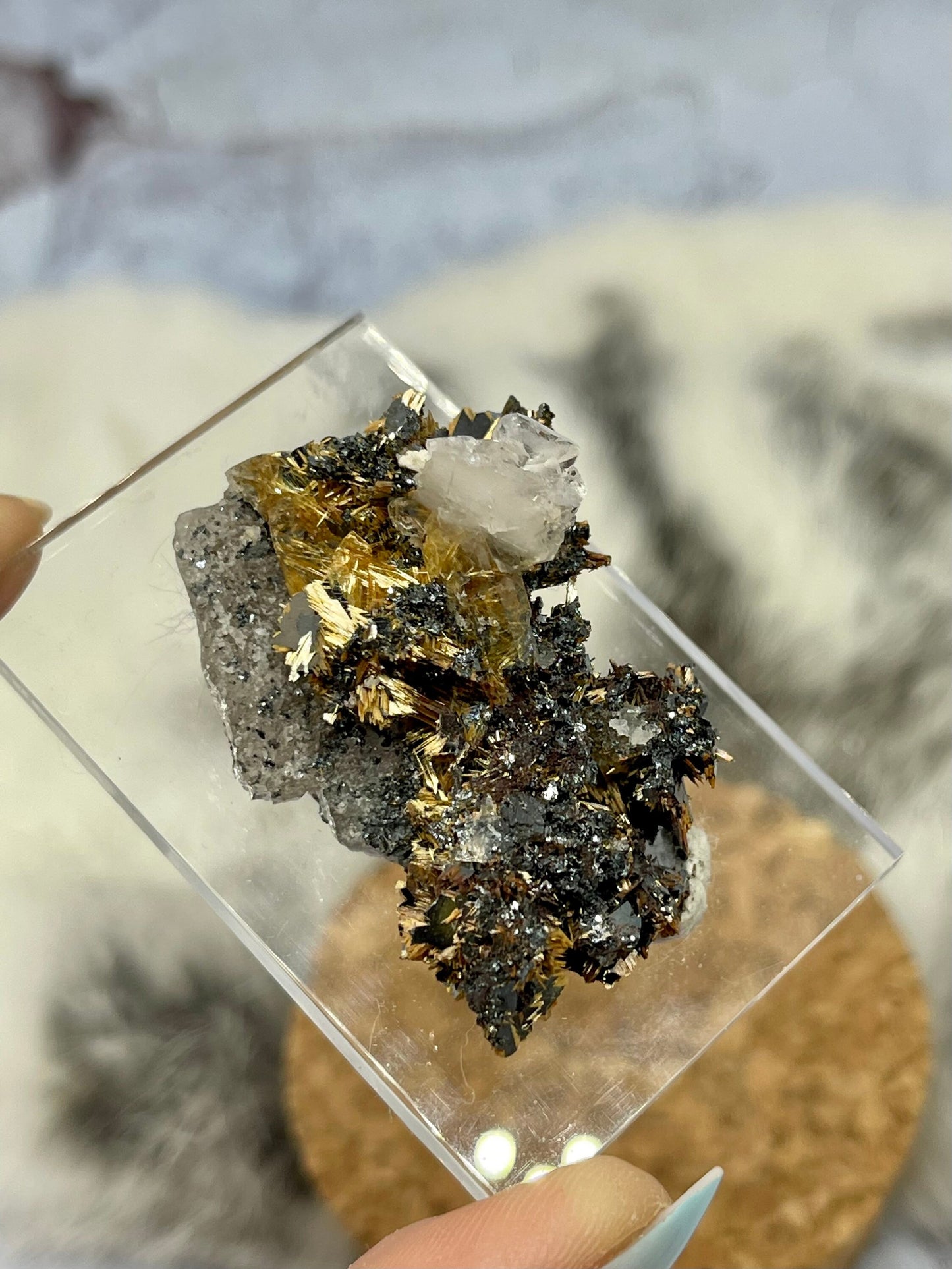 Golden Rutile on Hematite with Quartz Specimen