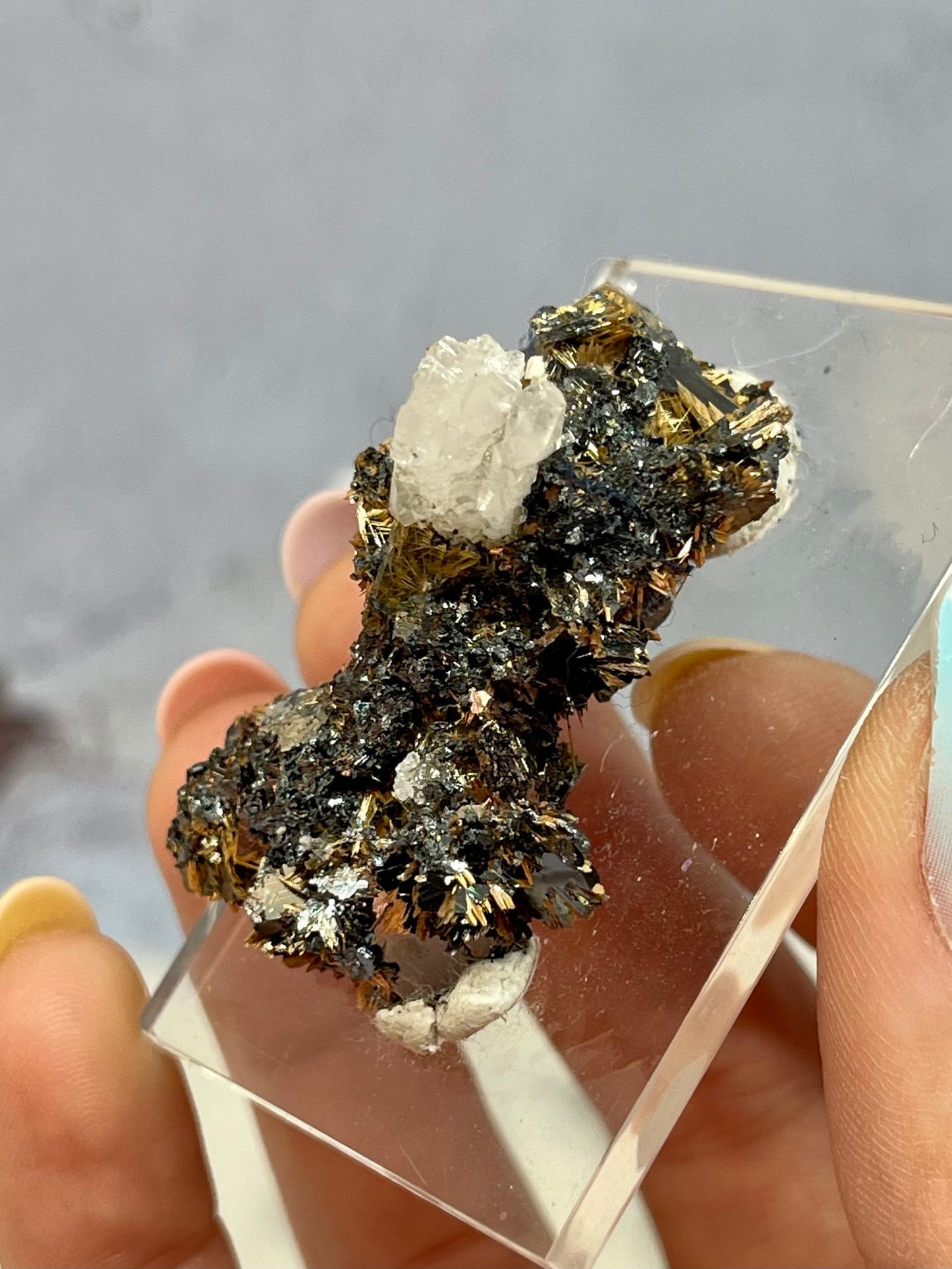 Golden Rutile on Hematite with Quartz Specimen