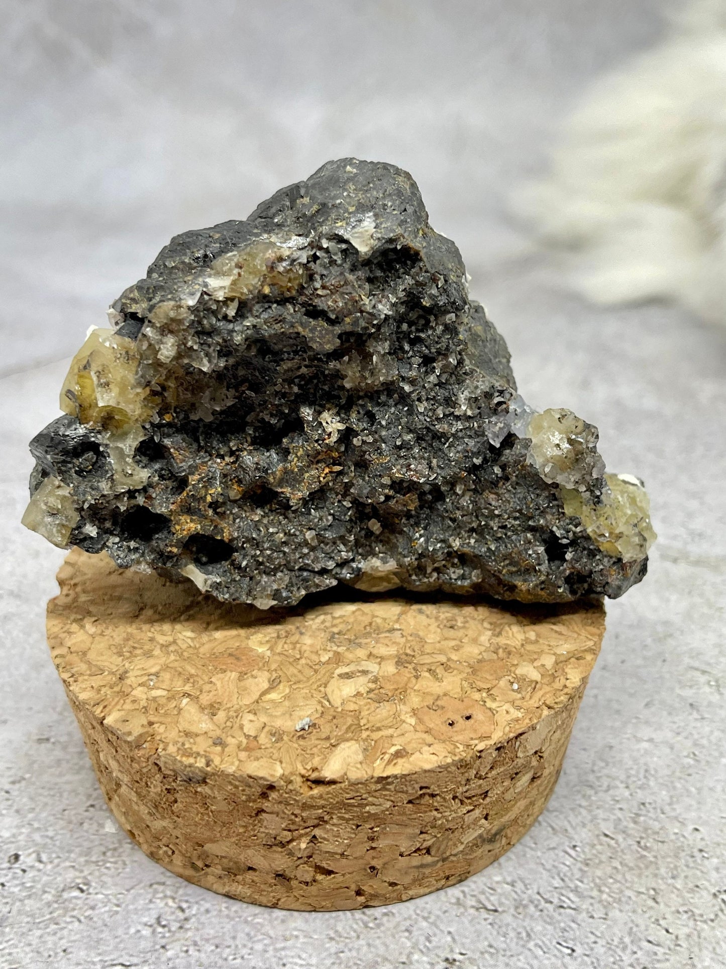 Gem Sphalerite in Gift Box ~ Marmatite