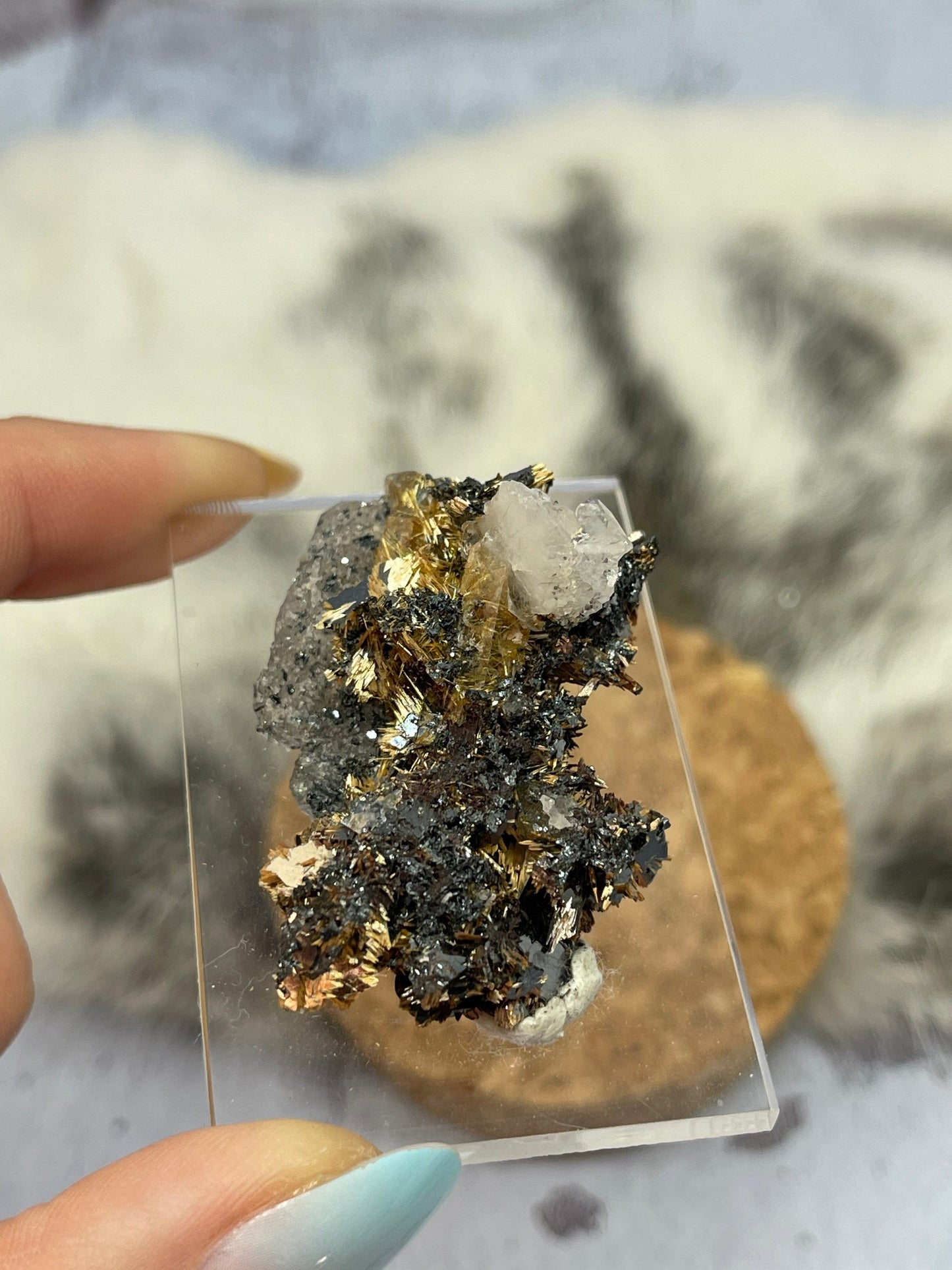 Golden Rutile on Hematite with Quartz Specimen