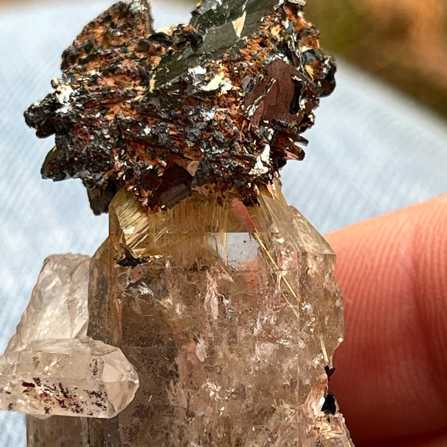 Golden Rutilated Elestial Quartz Specimen ~ Rutile Quartz and Hematite