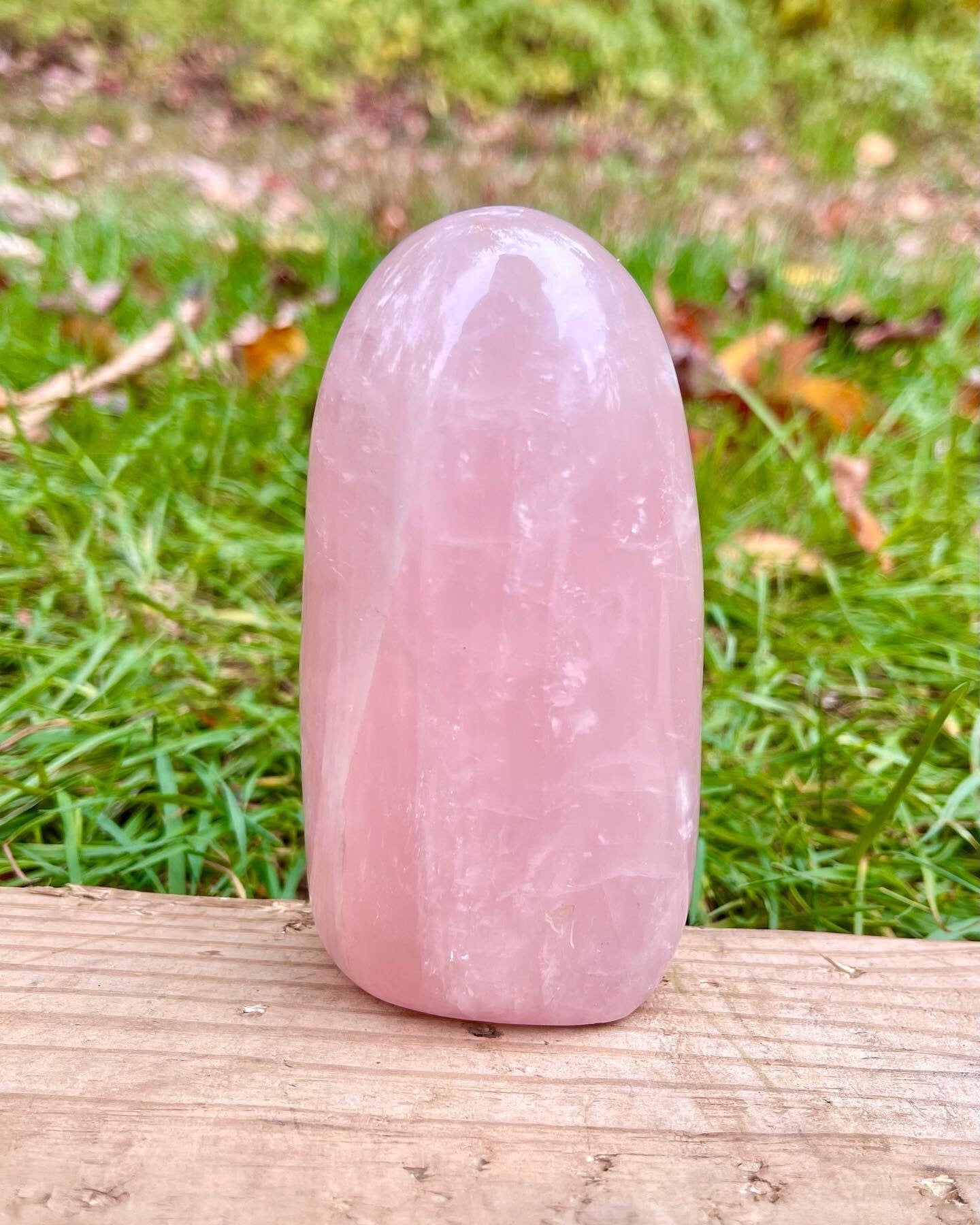 Rose Quartz Freeform 4”