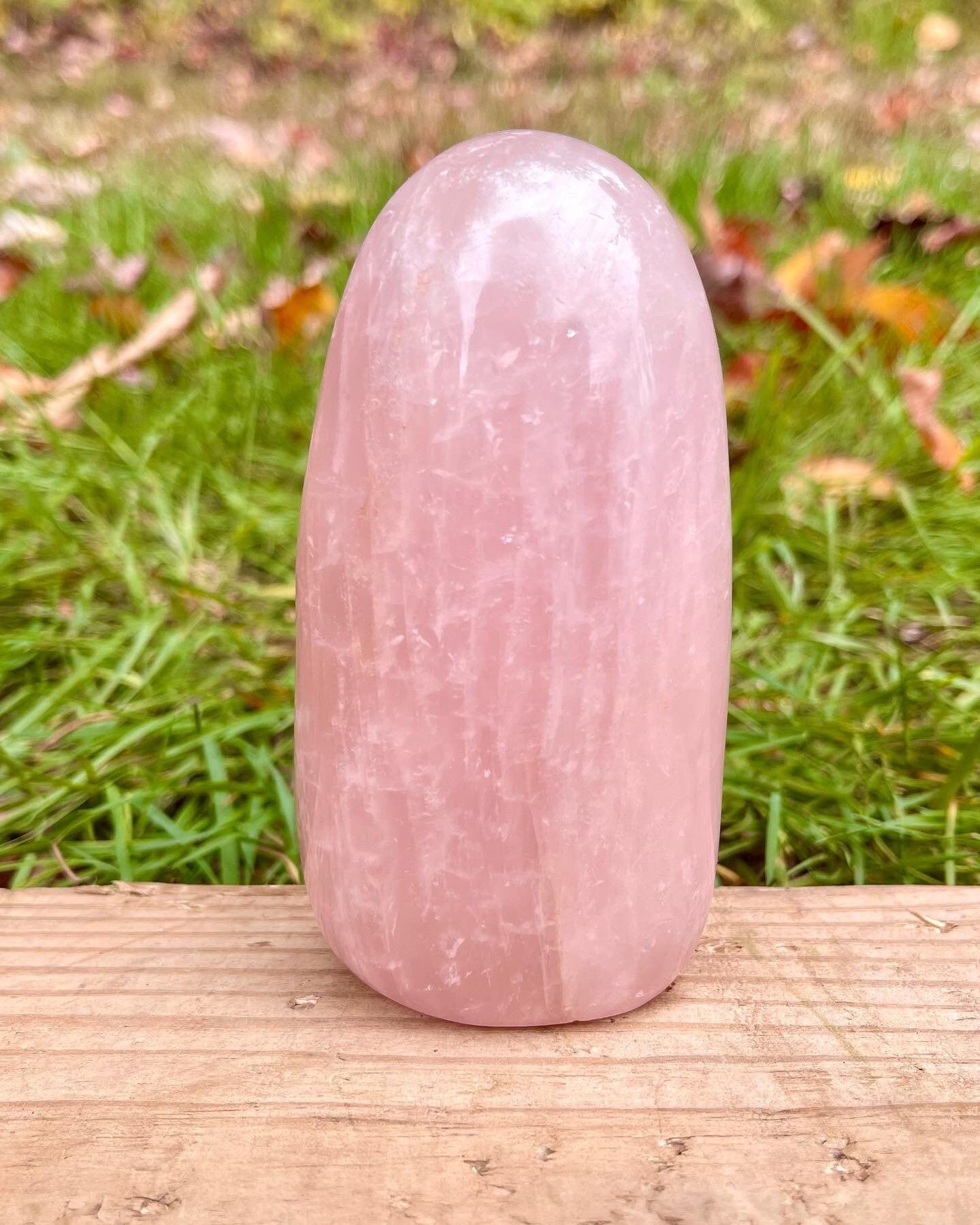 Rose Quartz Freeform 4”