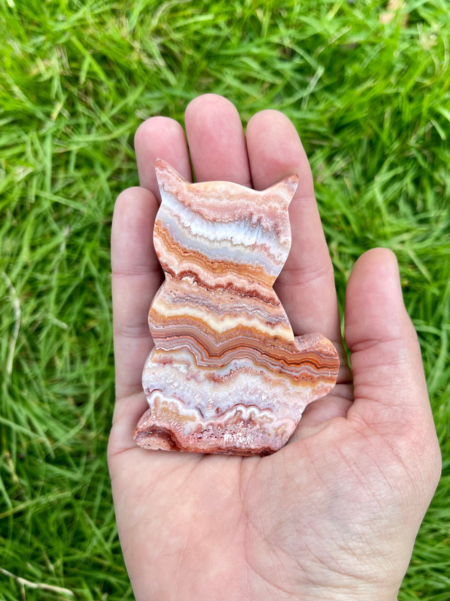 Crazy Lace Agate Cat Self Standing