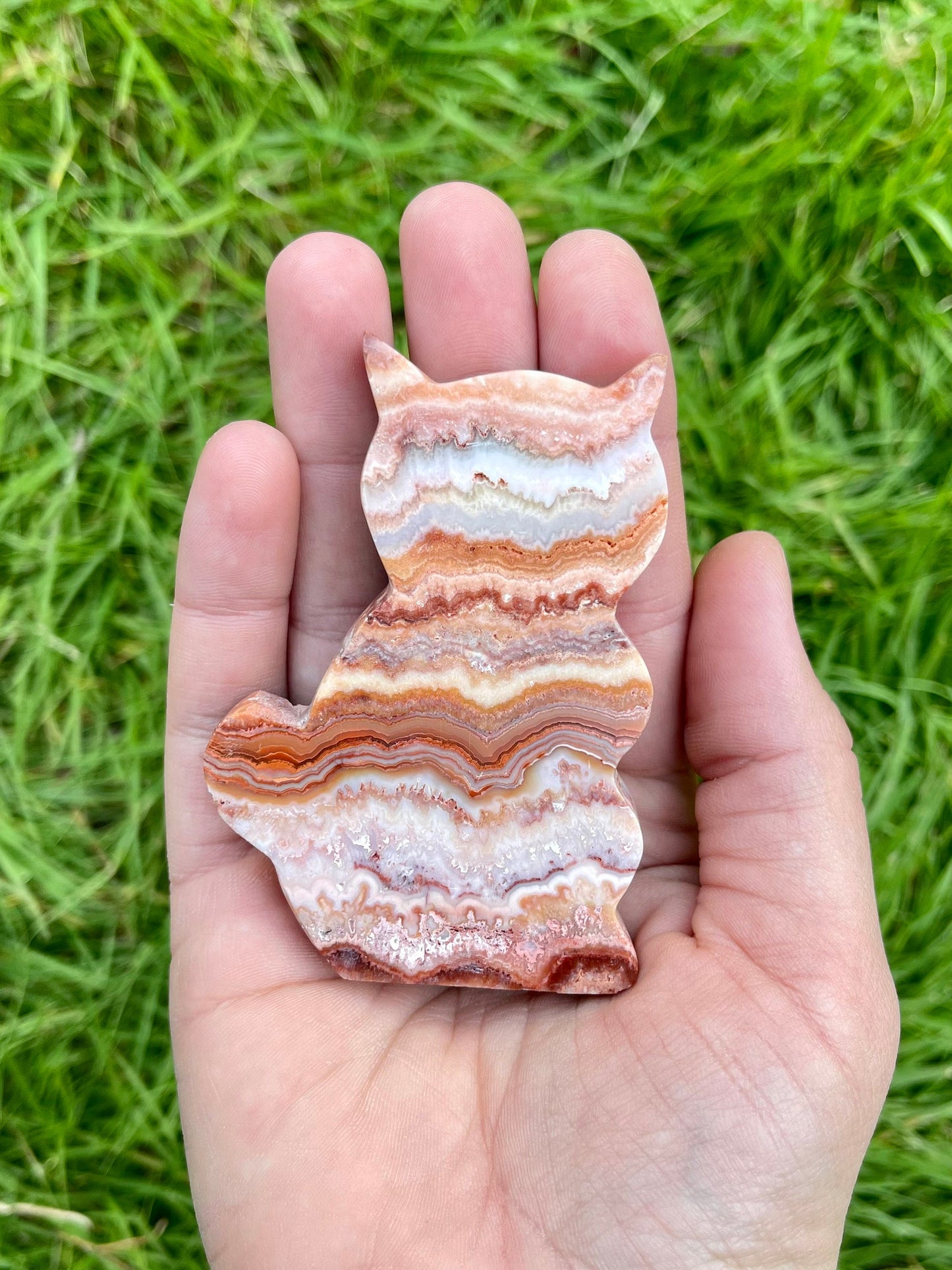 Crazy Lace Agate Cat Self Standing