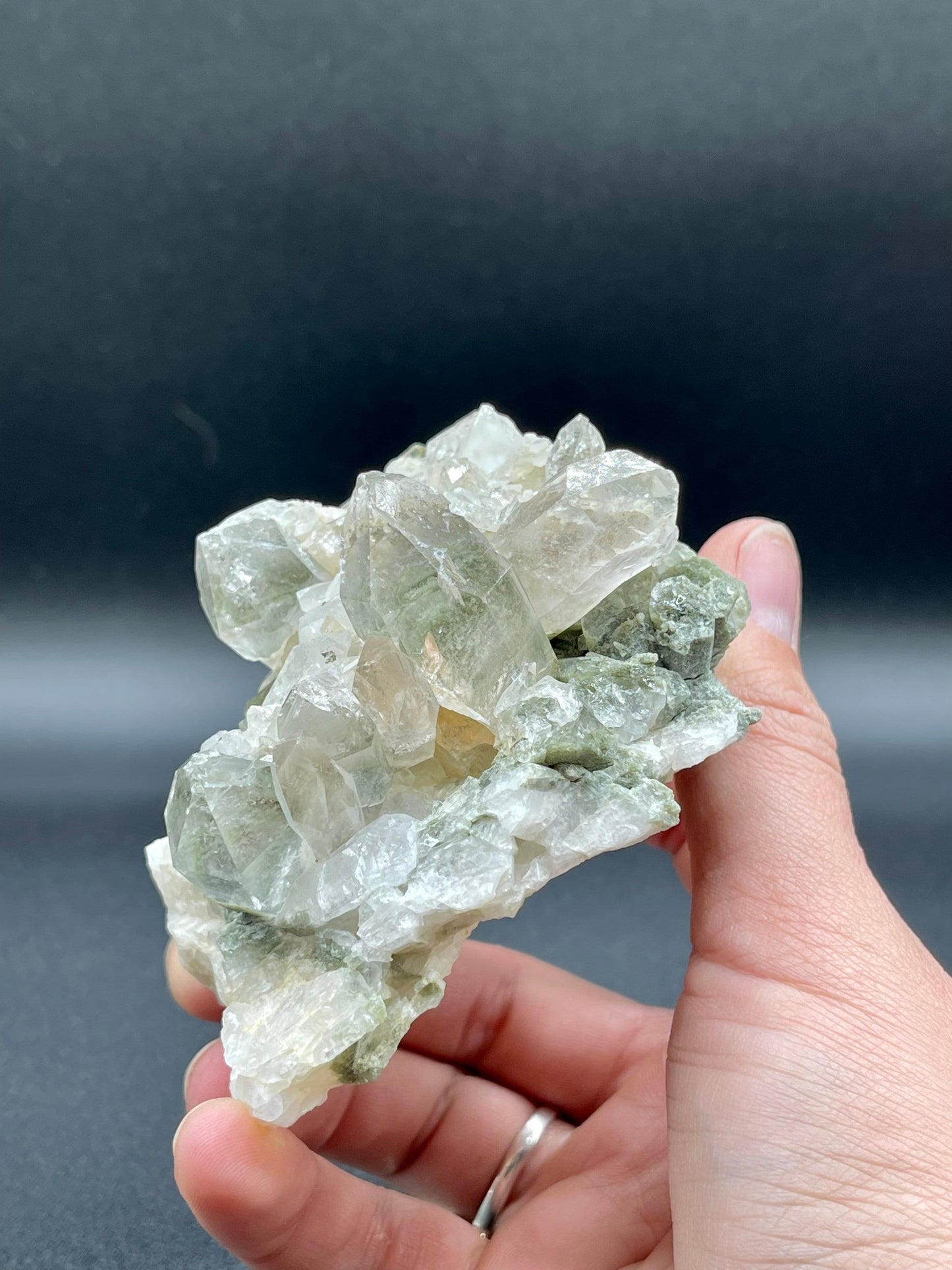 Chlorite Quartz