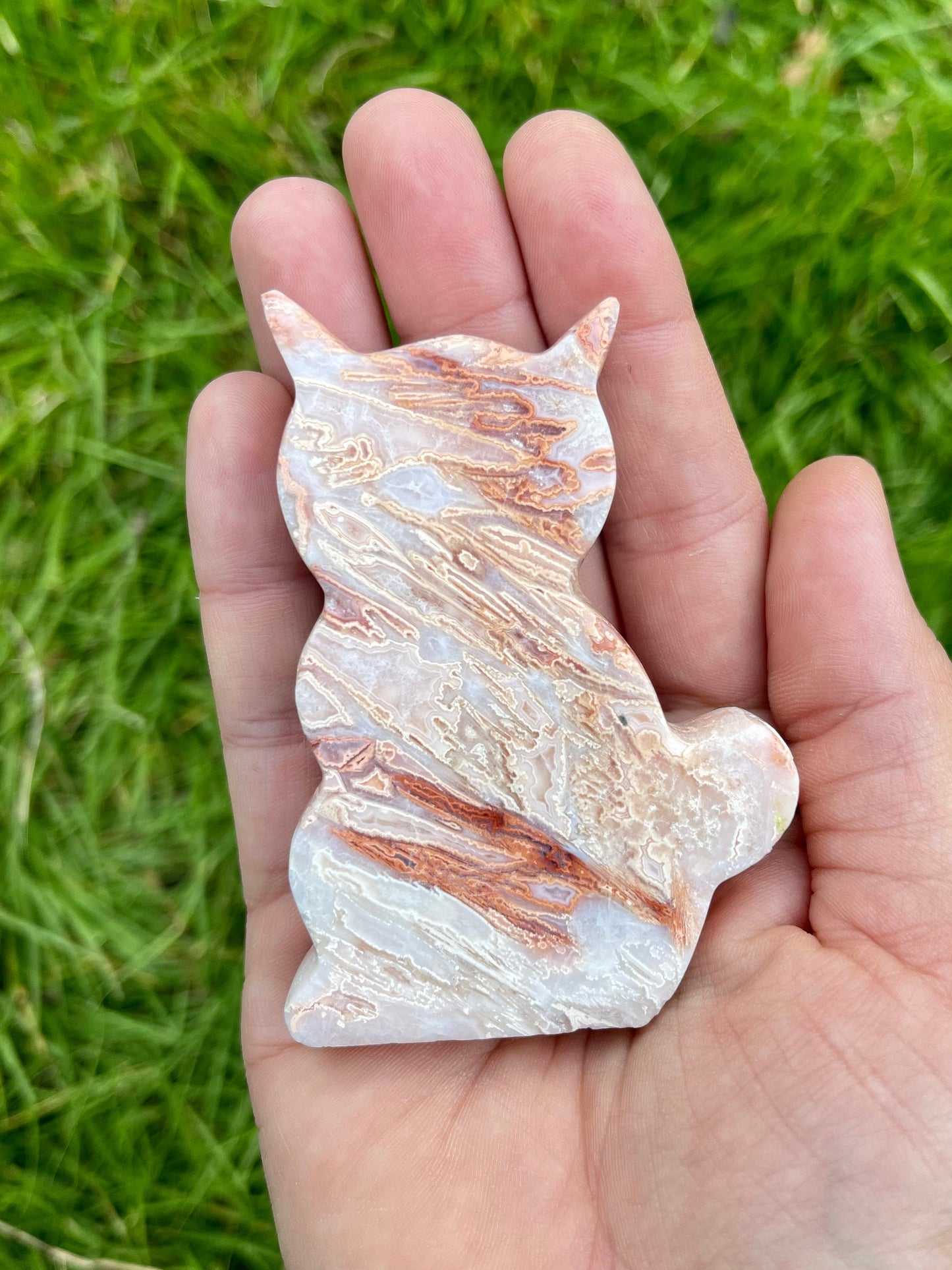 Crazy Lace Agate Cat Self Standing