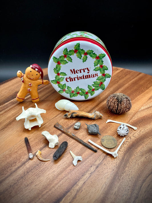 Osteomancy Set ~ Bone Throwing Set ~ Christmas Tin