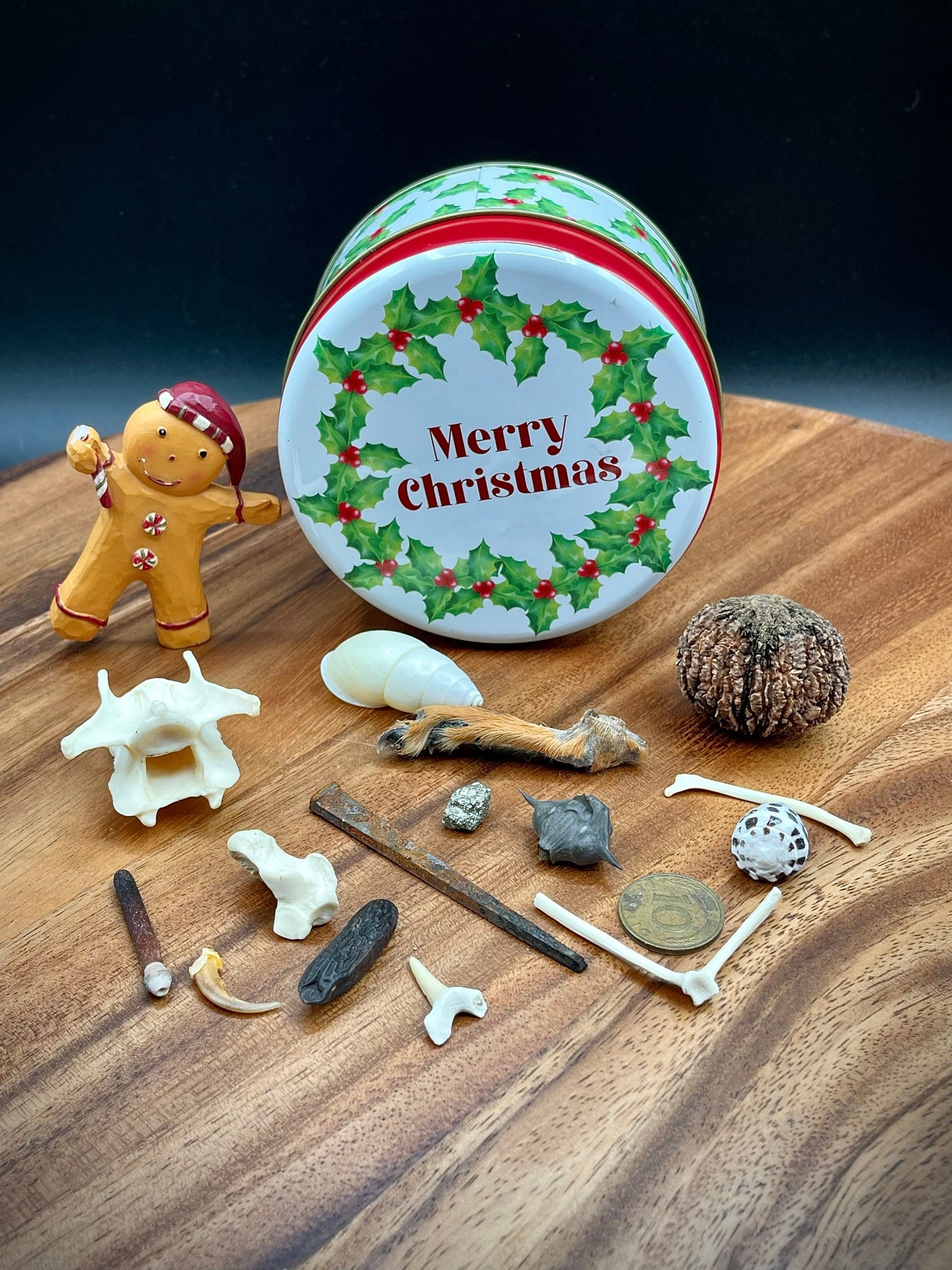 Osteomancy Set ~ Bone Throwing Set ~ Christmas Tin