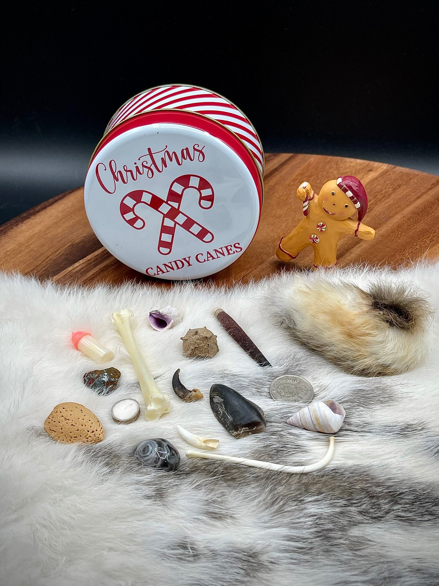 Osteomancy Set ~ Bone Throwing Set ~ Christmas Tin