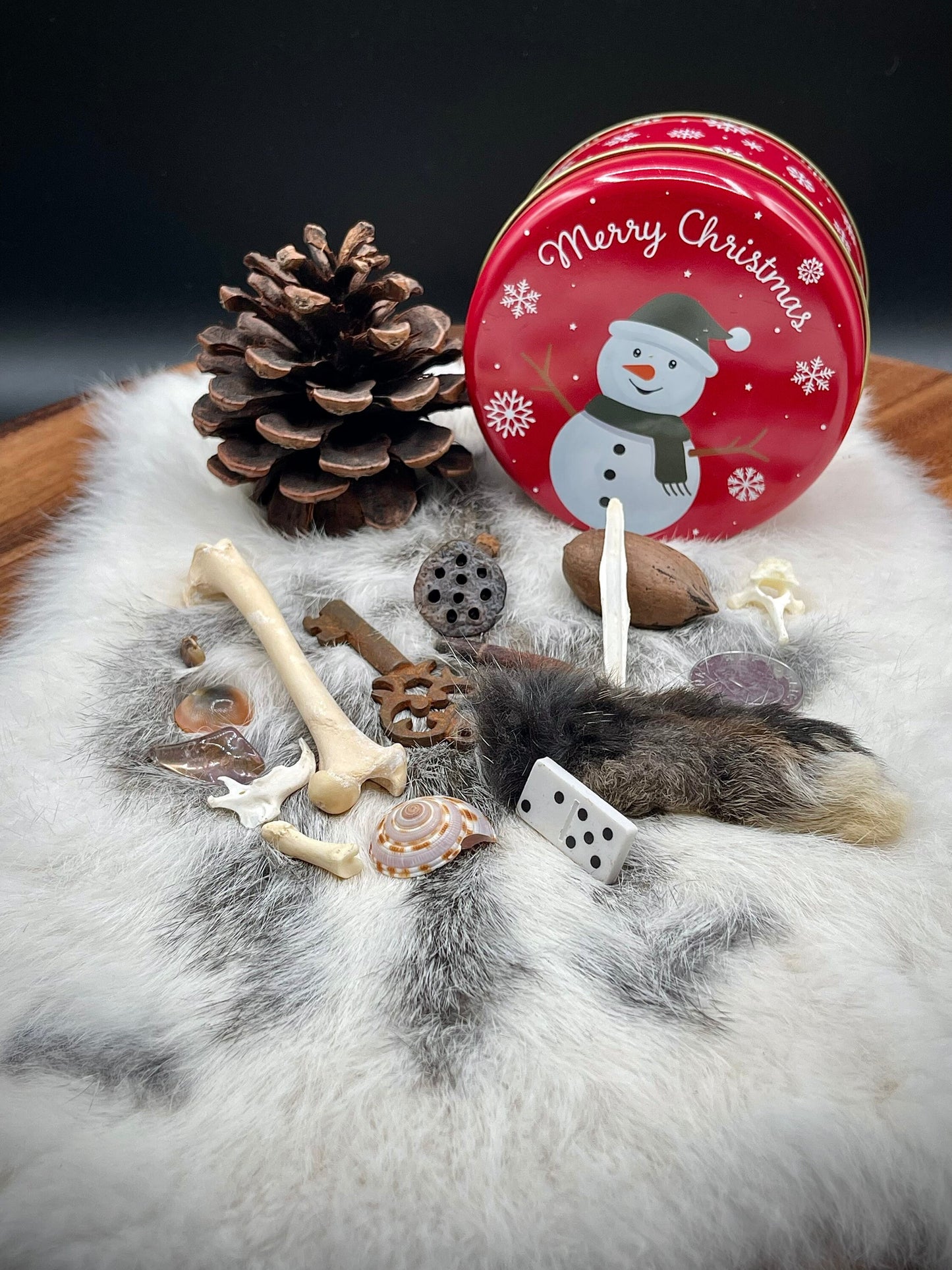 Osteomancy Set ~ Bone Throwing Set ~ Christmas Tin