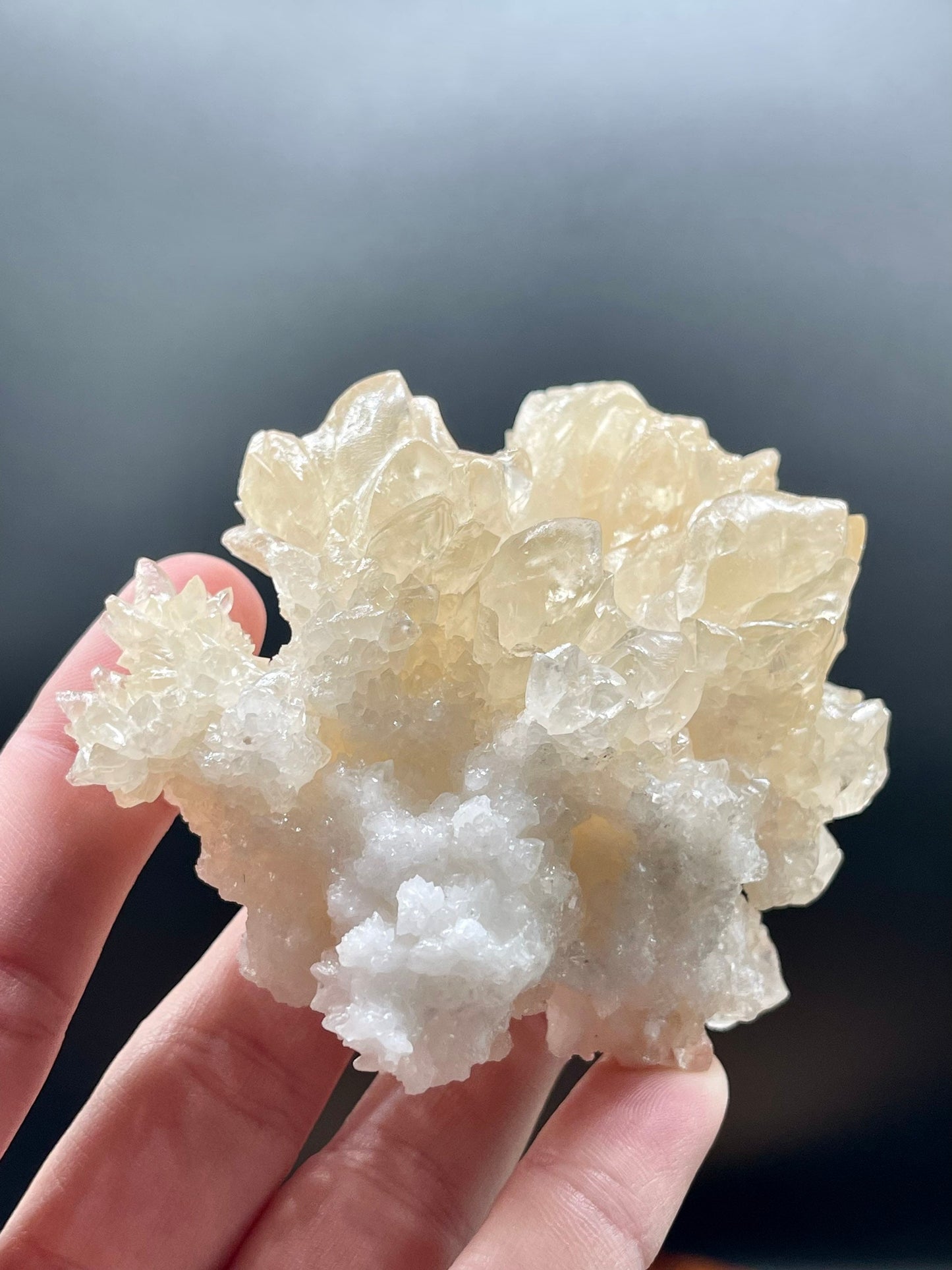 Cave Calcite ~ Natural Specimen