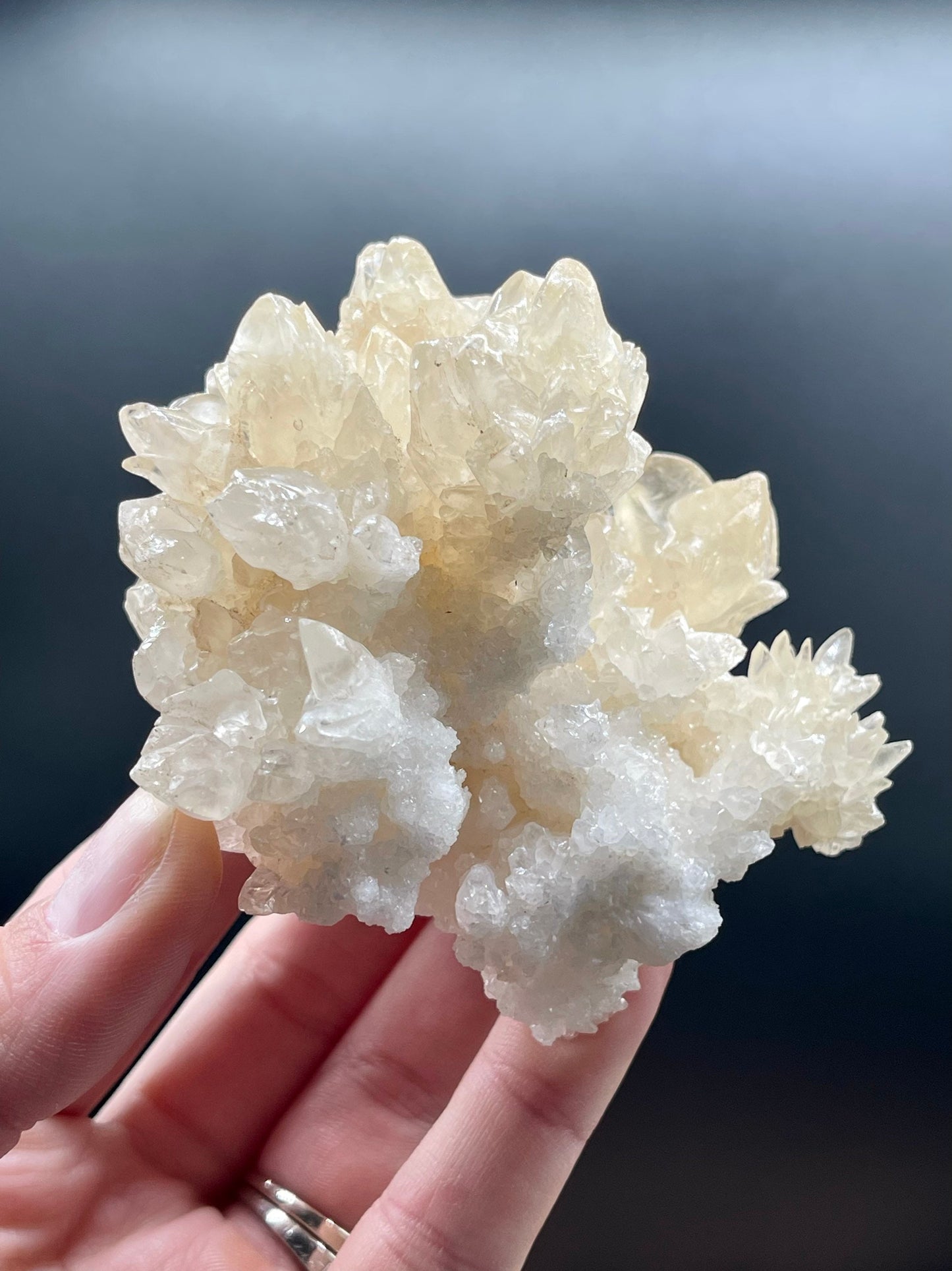 Cave Calcite ~ Natural Specimen