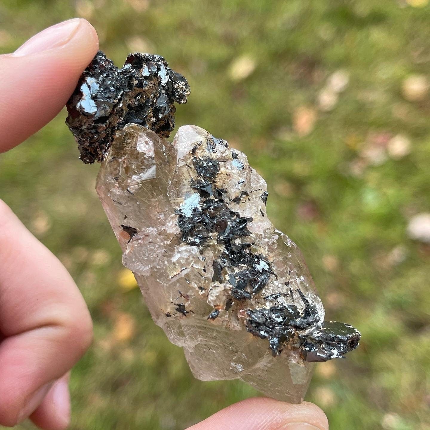 Golden Rutilated Elestial Quartz Specimen ~ Rutile Quartz and Hematite