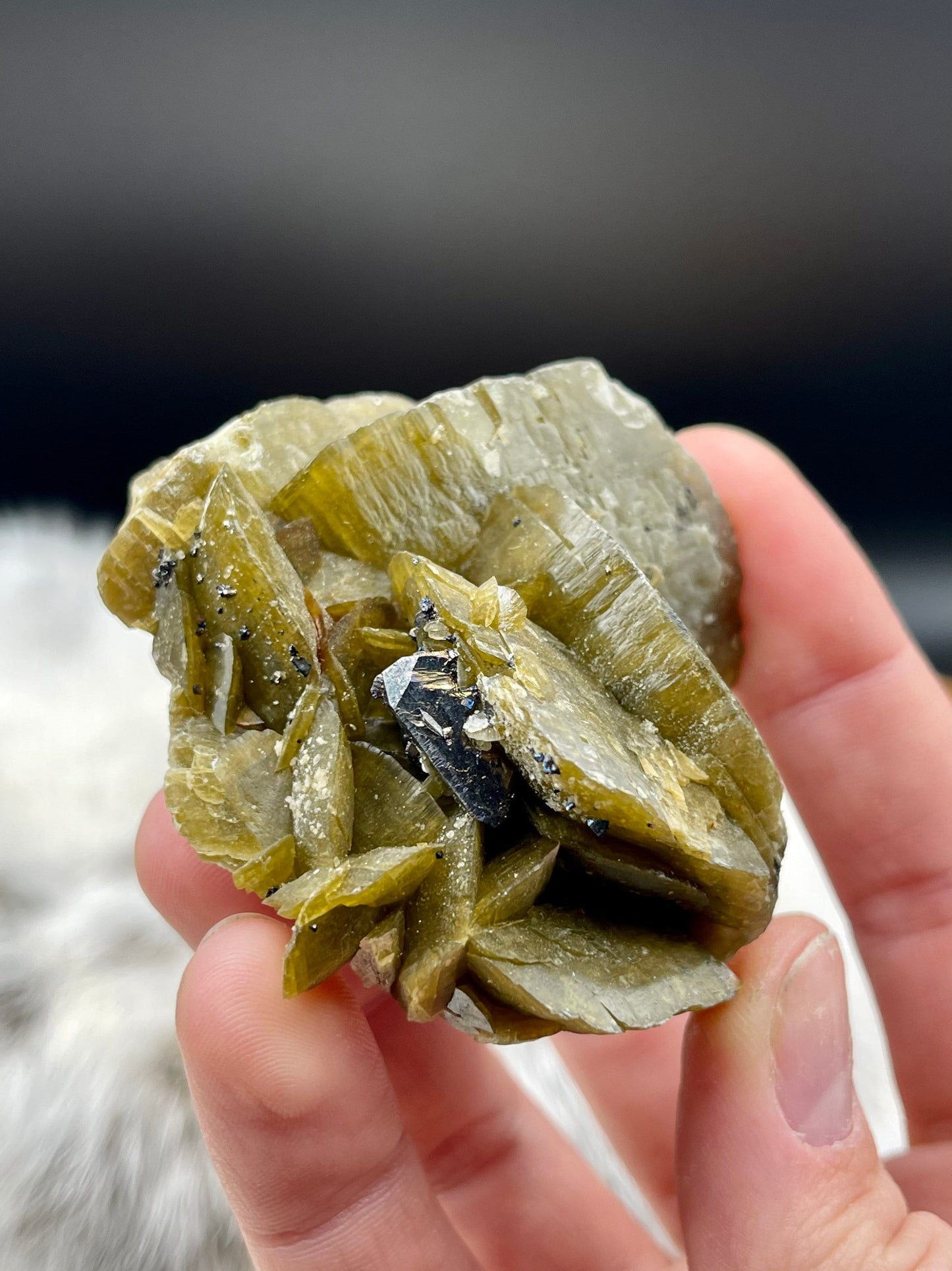 Large Siderite and Chalcopyrite Rose