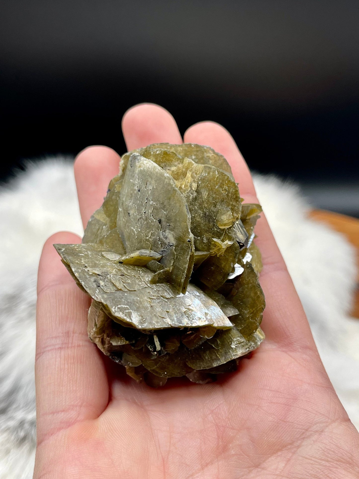Large Siderite and Chalcopyrite Rose