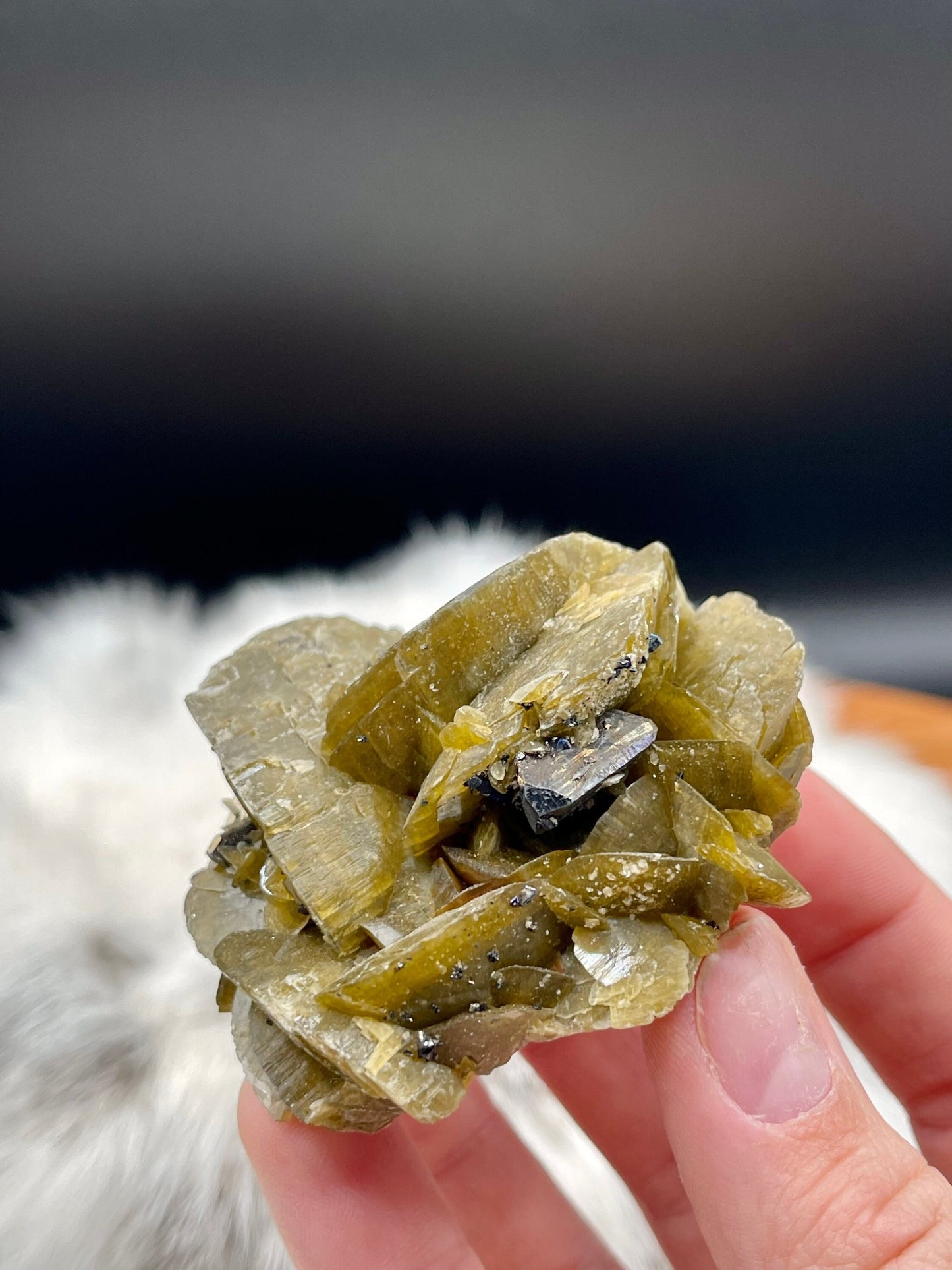Large Siderite and Chalcopyrite Rose