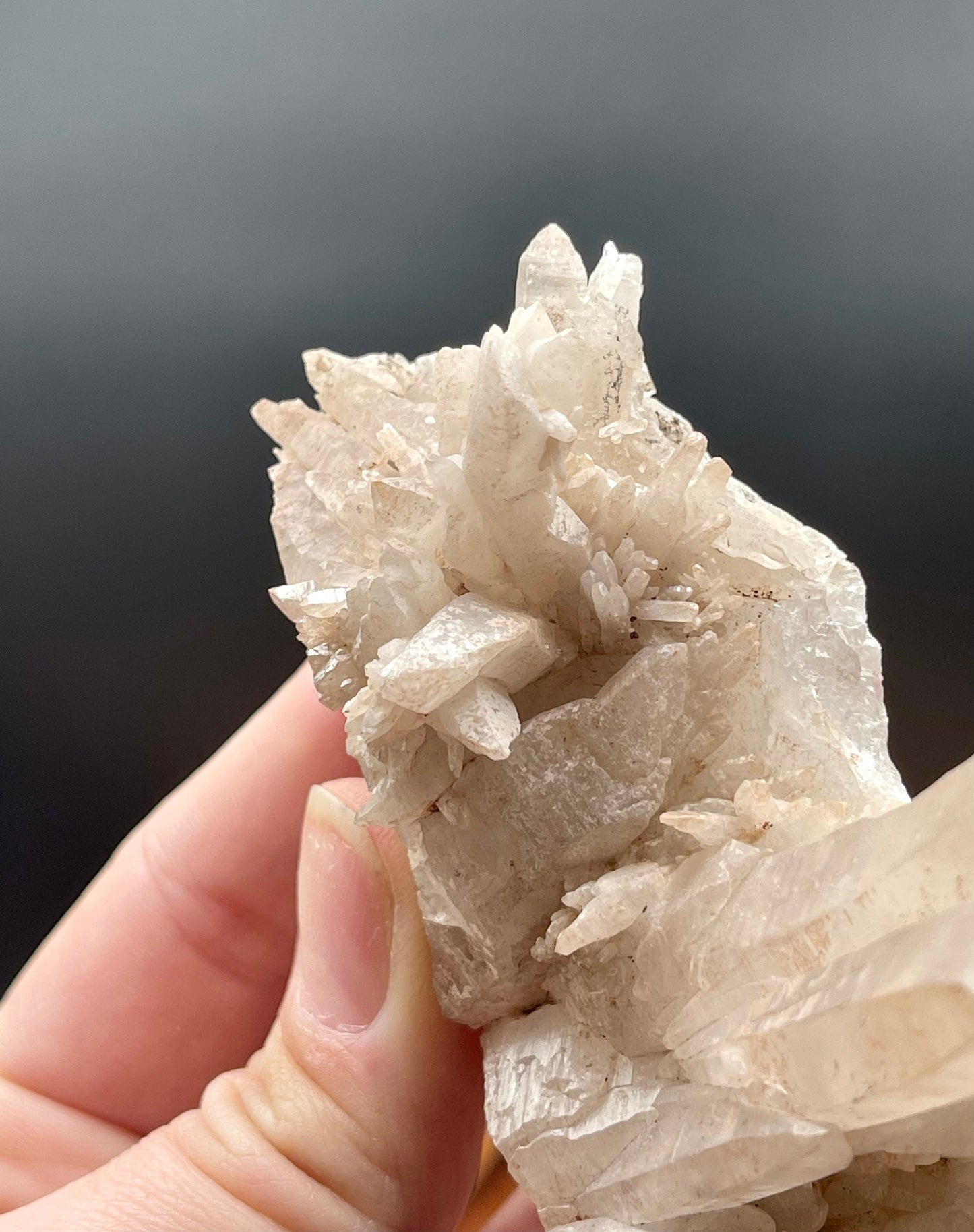 Quartz Mixed Mineral Specimen