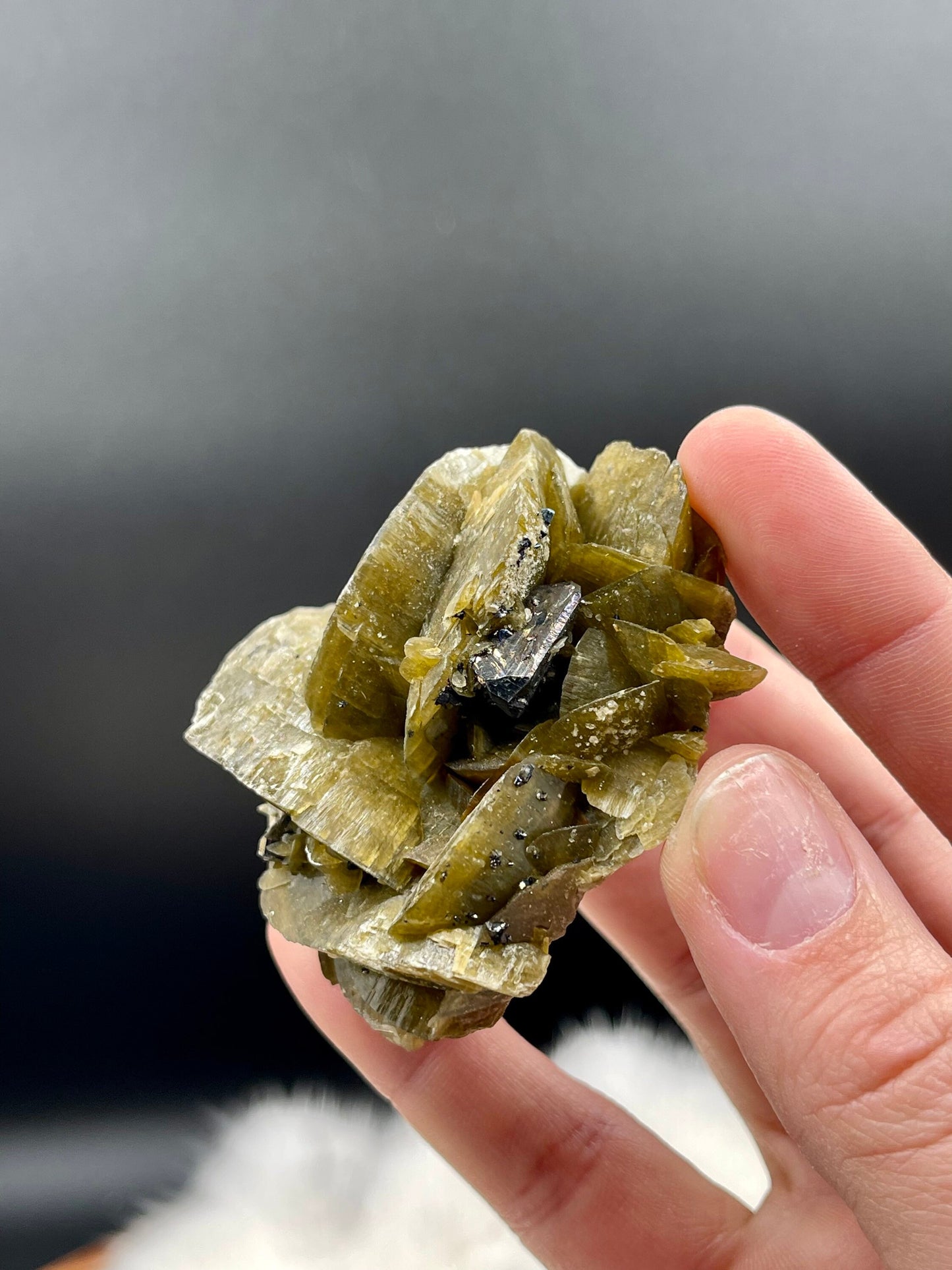 Large Siderite and Chalcopyrite Rose