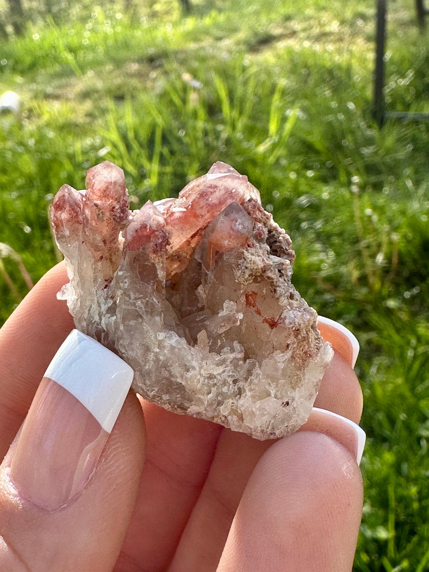 Orange River Quartz Clusters